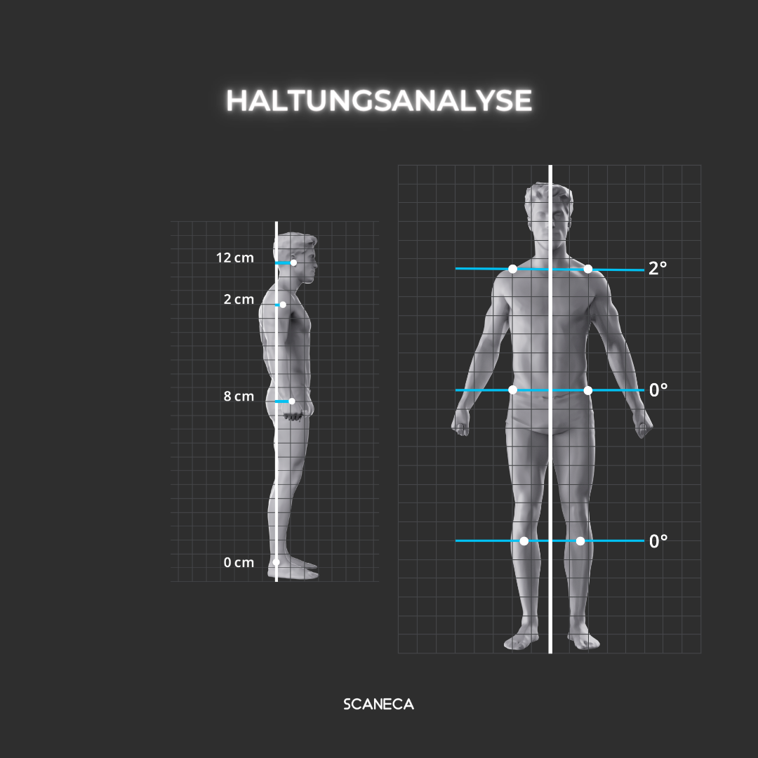 SCANECA 3D-Körperanalyse und digitaler Körperreport