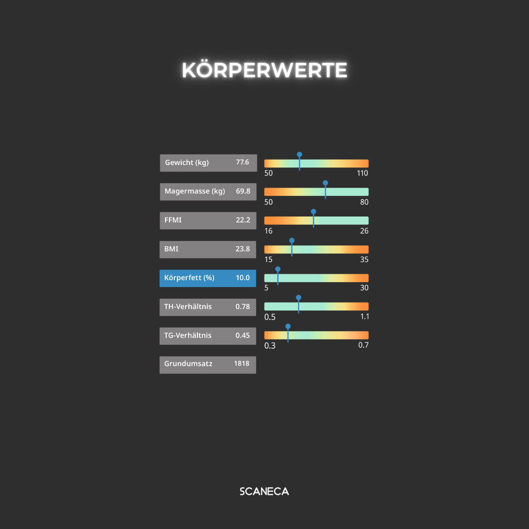 Beispiel eines digitalen SCANECA Körperreports